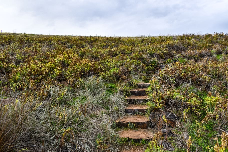 hill, grass, slate, steps, wilderness, country, australia, plant HD wallpaper
