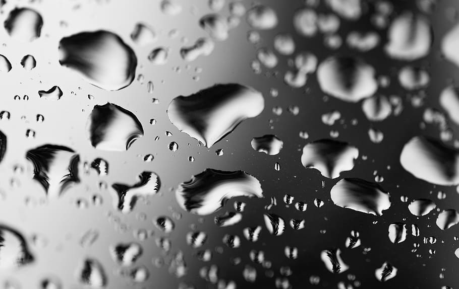 drip, raindrop, water, wet, nature, drop of water, droplets HD wallpaper