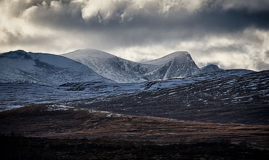 This! 29+  Facts About Dovrefjell? Maybe you would like to learn more about one of these?