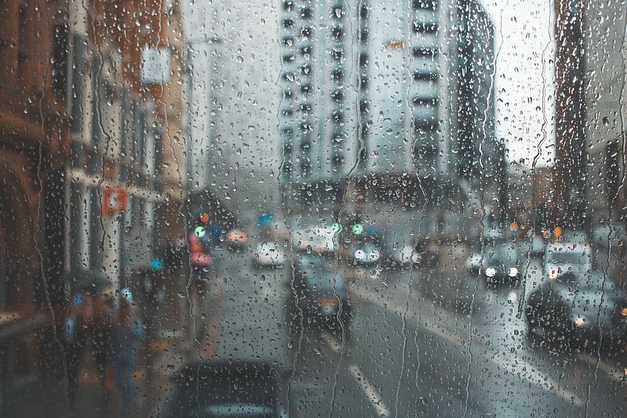 frosted glass, road, urban, fish, animal, nature, town, city HD wallpaper