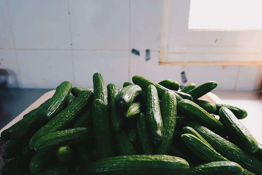 green zucchini lot, vegetable, produce, cucumber, flora, food, HD wallpaper