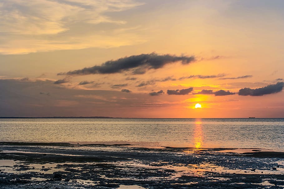 Body of Water during Sunset, beach, clouds, dawn, daylight, dusk HD wallpaper