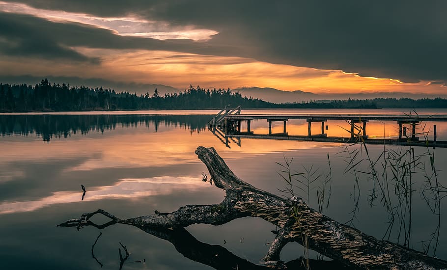 water, dock, waterfront, pier, port, wood, nature, bavaria, germany HD wallpaper