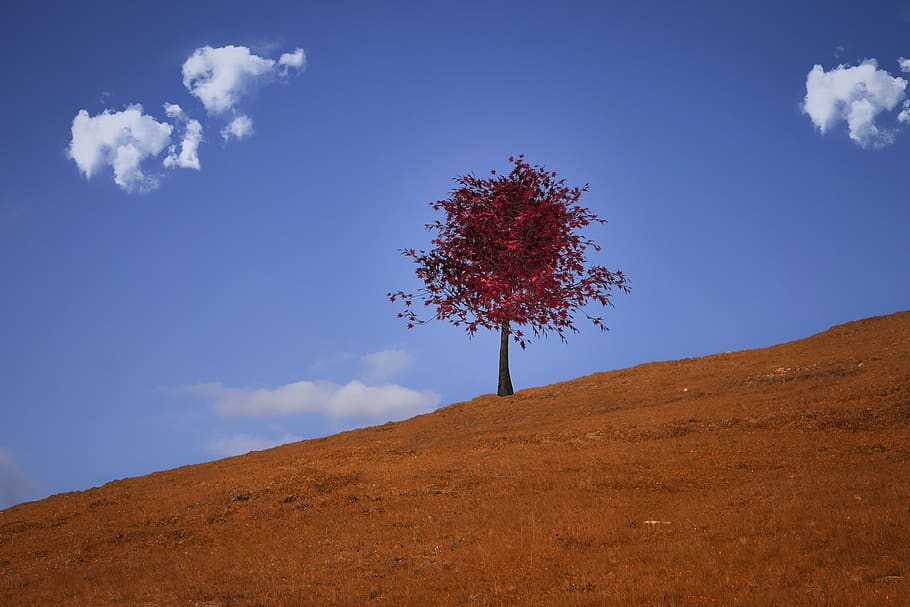 landscape, autumn, meadow, tree, sky, clouds, nature, cloud - sky HD wallpaper