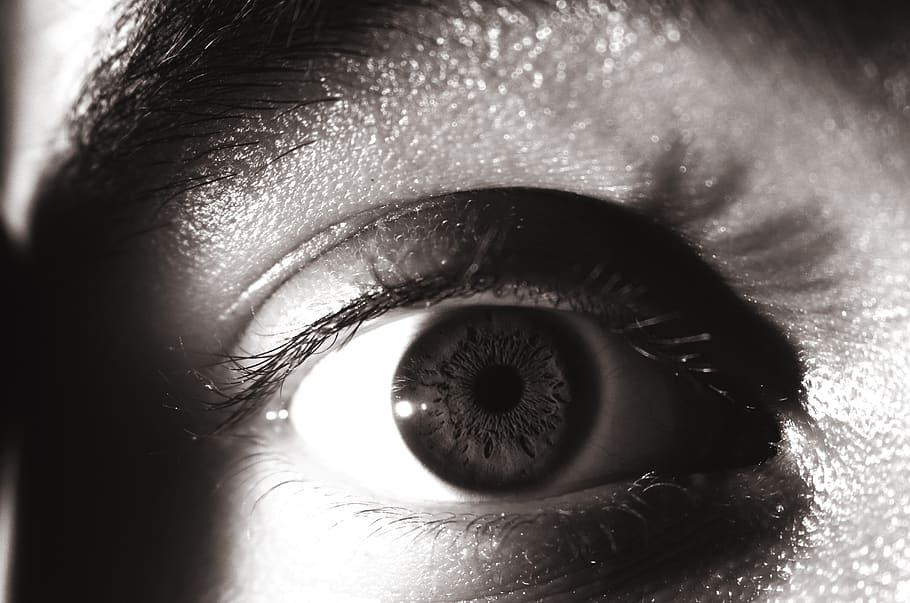 sepia, eye, eyelash, iris, warm, human eye, human body part HD wallpaper