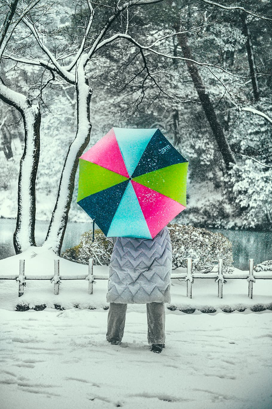 selective focus photography of person holding umbrella, nature, HD wallpaper