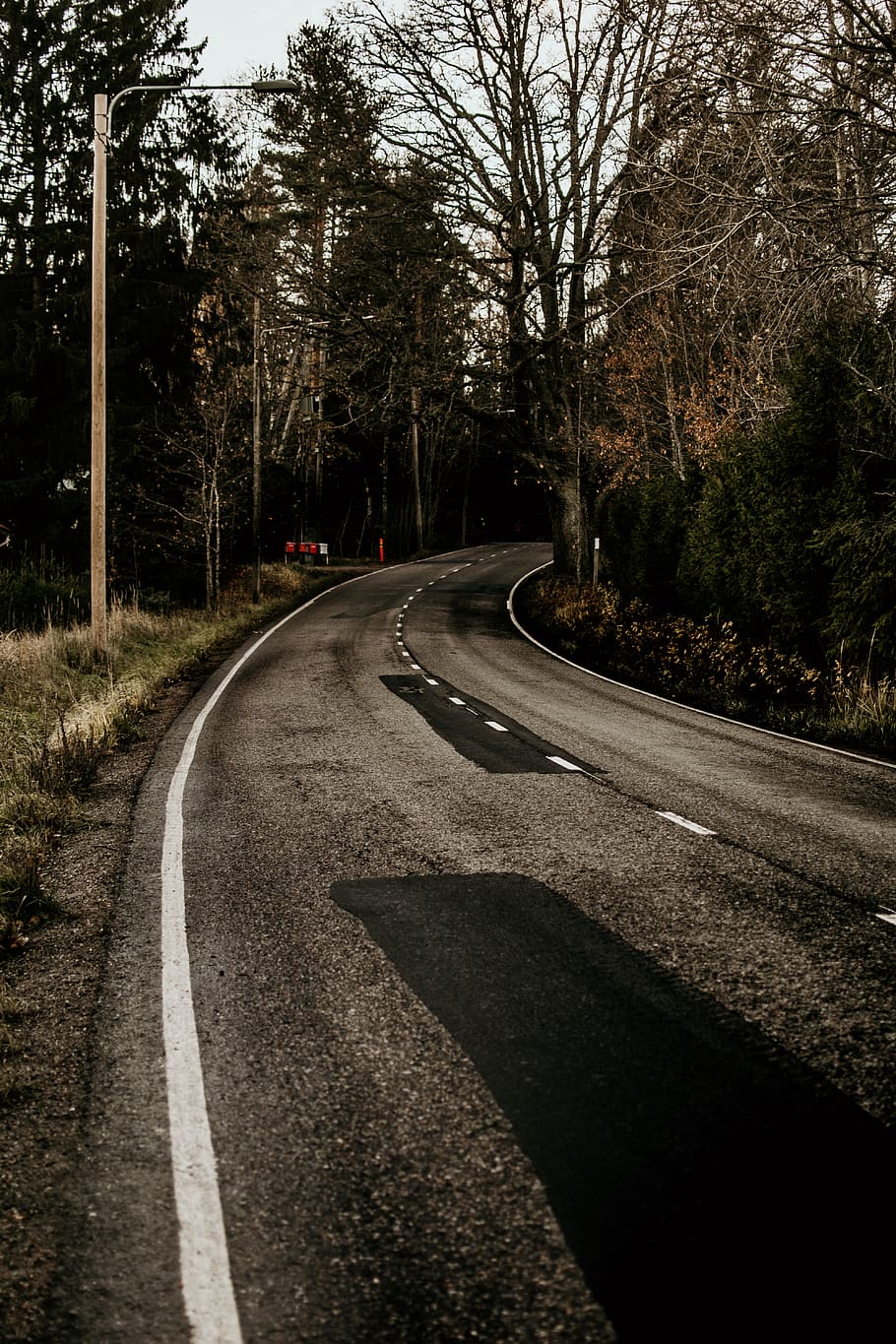 finland, trees, forest, nature, road, track, path, home, urban HD wallpaper
