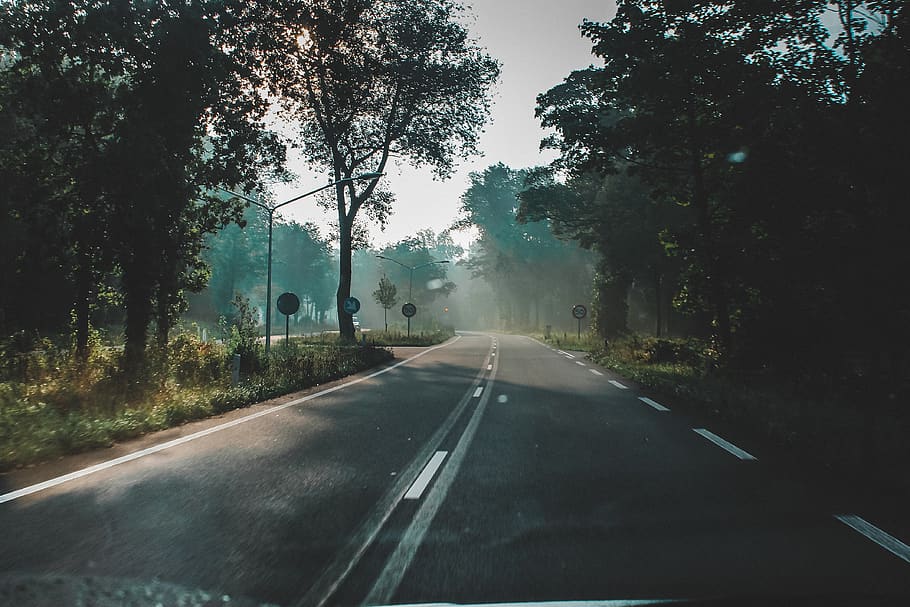 Road In Between , asphalt, dawn, daylight, drive, empty, environment HD wallpaper