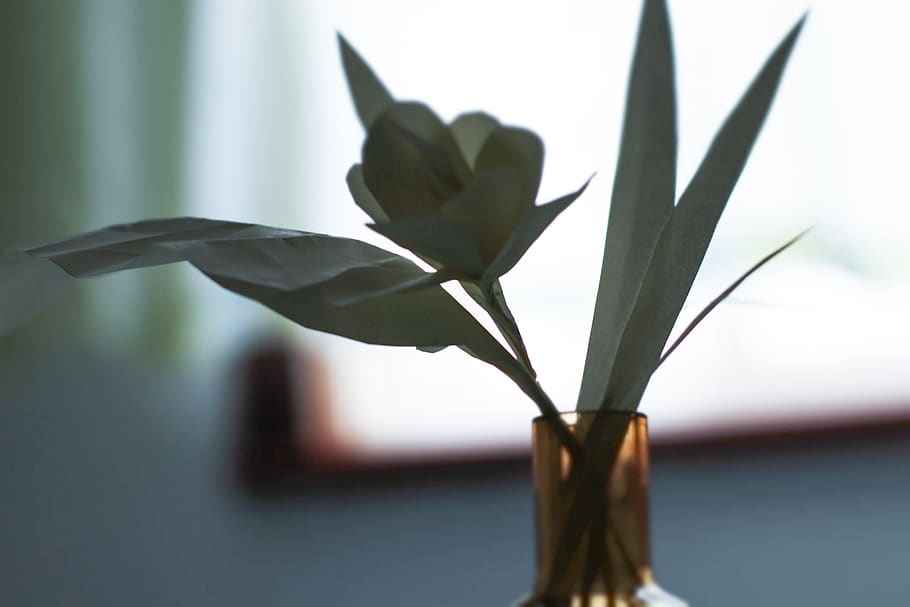 craft, flower, paper, creative, plant, close-up, growth, no people HD wallpaper