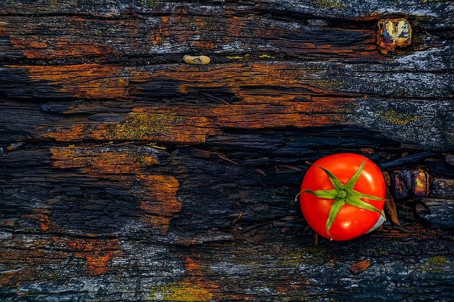 red tomato on brown log, wood - material, vegetable, no people HD wallpaper