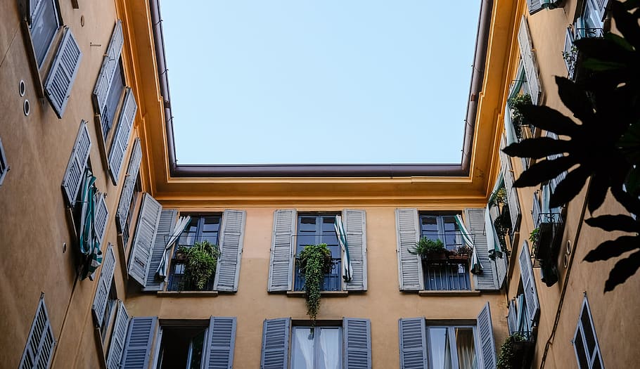 green plants on windows, built structure, architecture, building exterior HD wallpaper