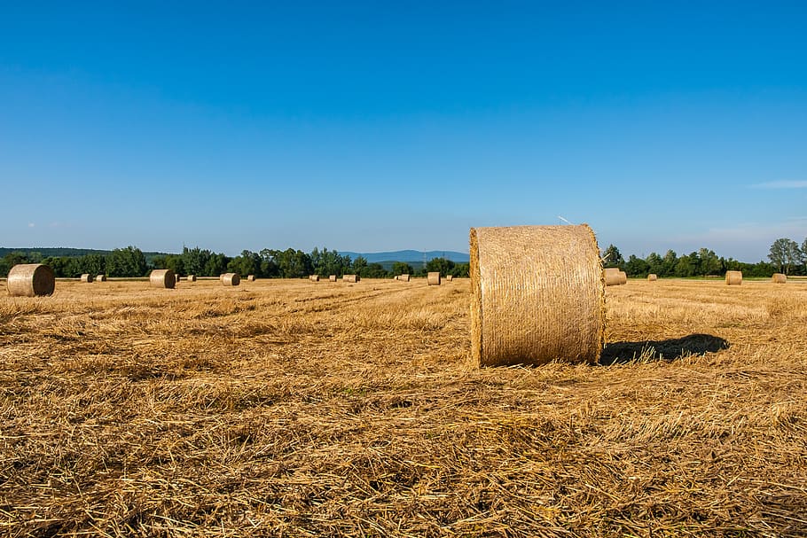 austria, jabing, sky, straw, bale, blue, field, hay, landscape HD wallpaper