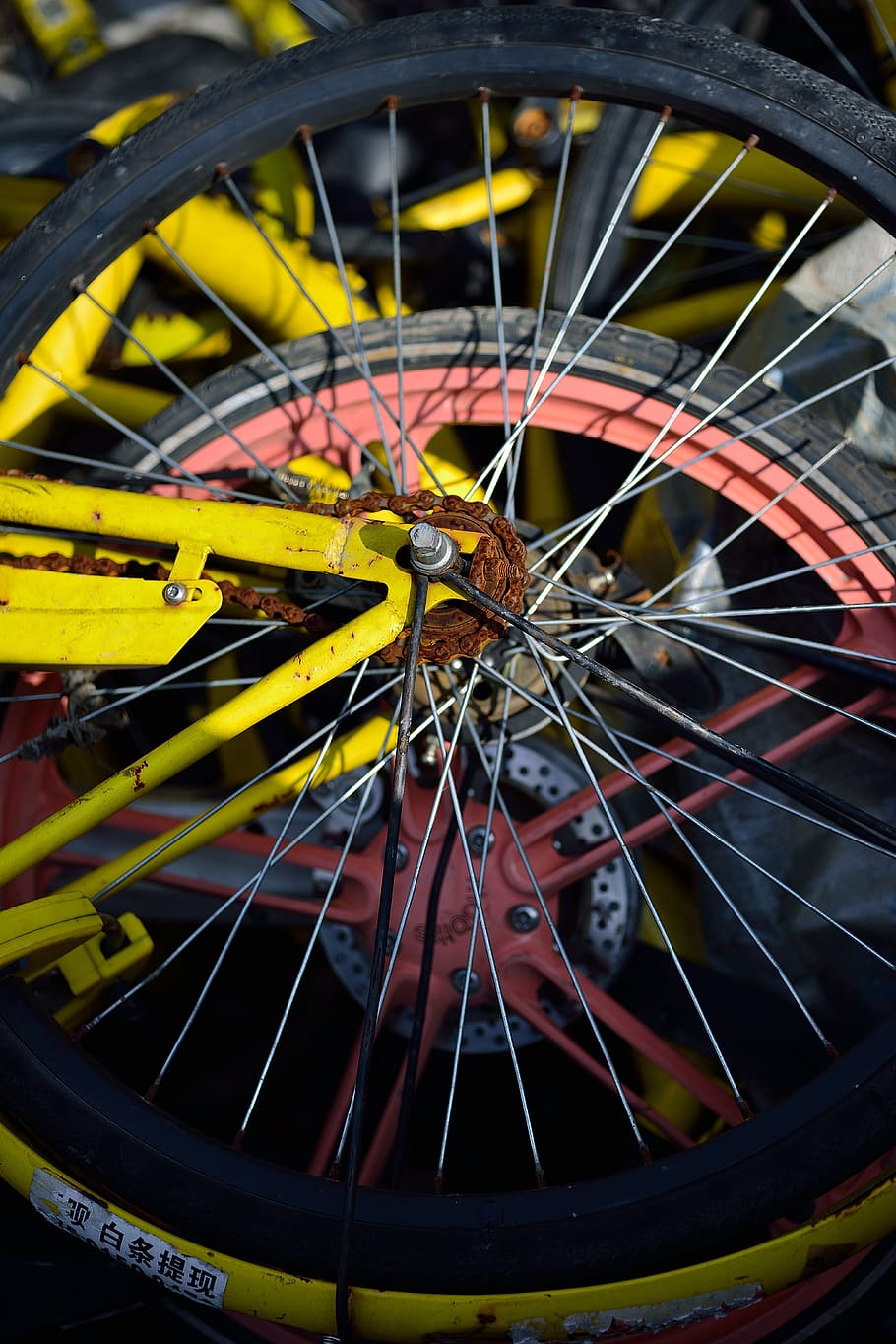 bicycle, sharing, ofo, mobai, sharing bicycle, close-up, parts HD wallpaper