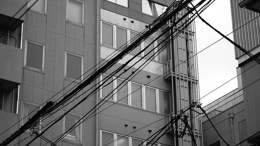 architecture, windows, street, black, white, built structure HD wallpaper