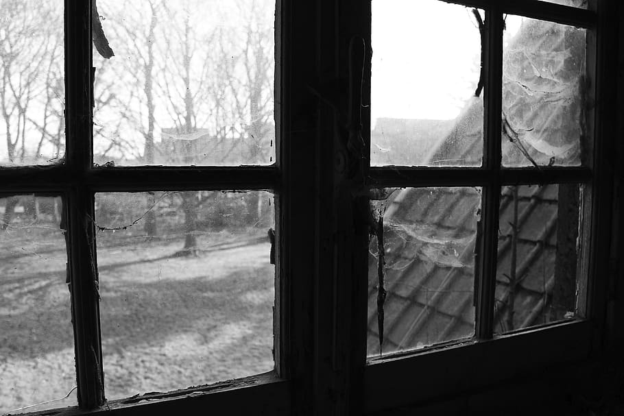 window, canvas, abandoned, glass, building, wet, architecture HD wallpaper