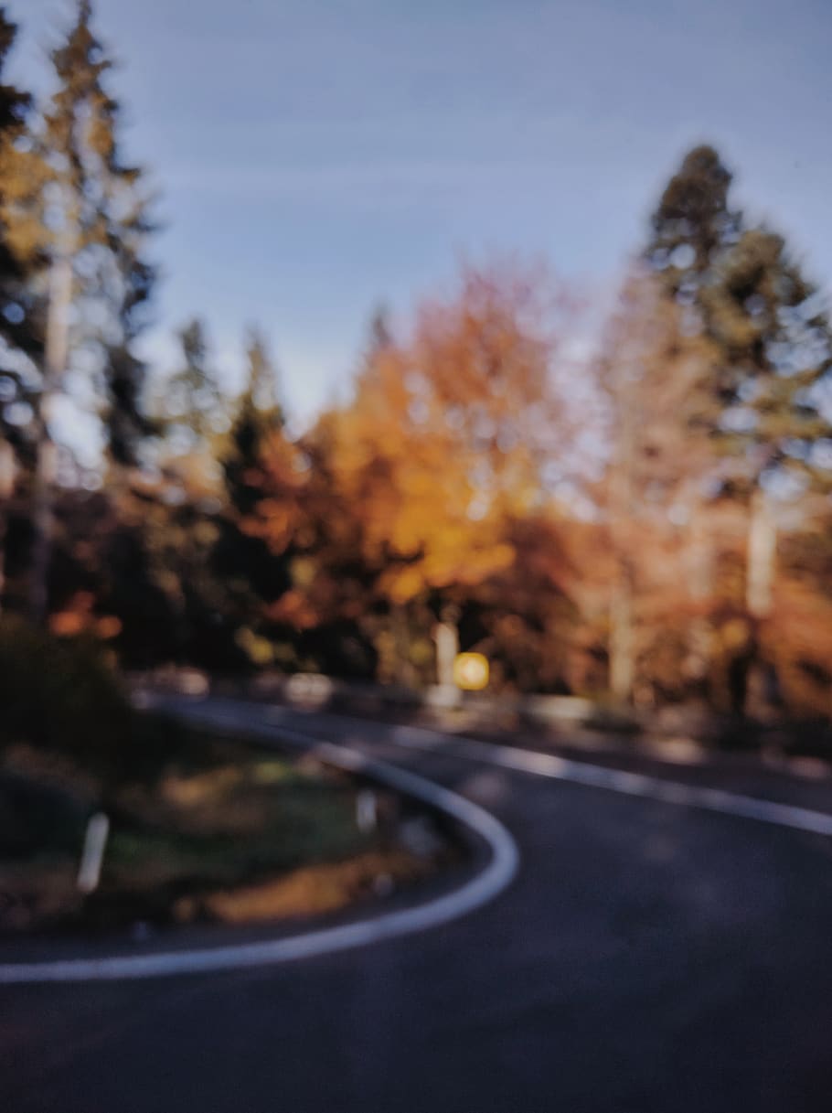 winding road between trees, forest, dn1, romania, orașul predeal HD wallpaper
