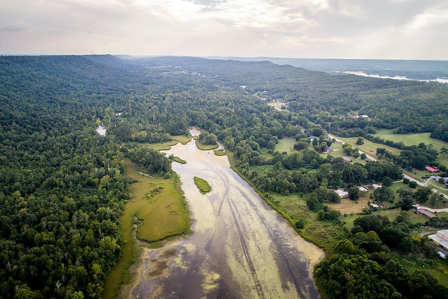 united states, guntersville, water, trees, clouds, mountains, HD wallpaper