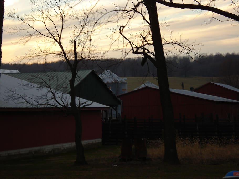farm, dusk, sunset, tree, architecture, sky, built structure HD wallpaper