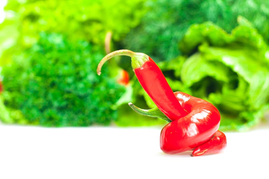 red, pepper, white, isolated, dieting, food, fresh, group, healthy HD wallpaper