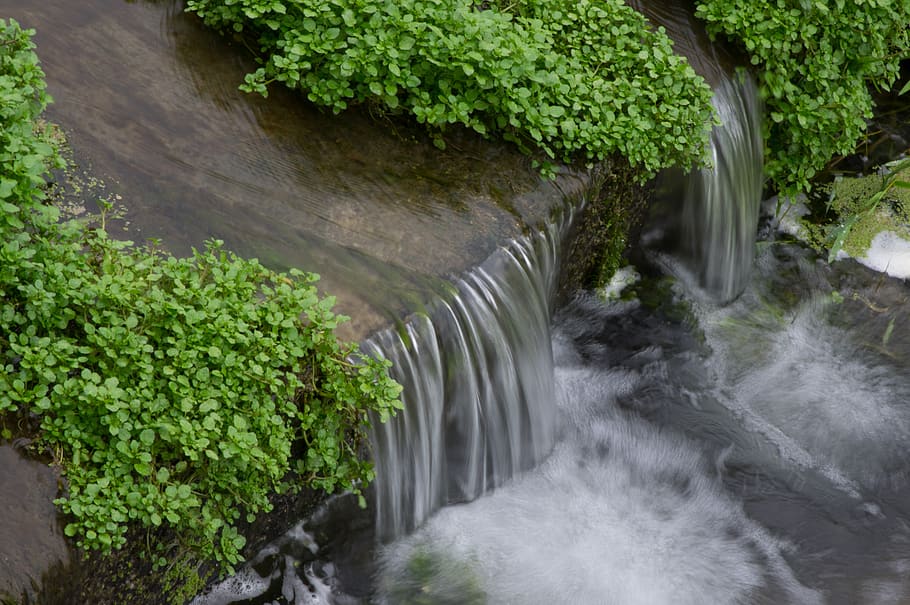 running water, river, falls, plant, motion, waterfall, long exposure HD wallpaper