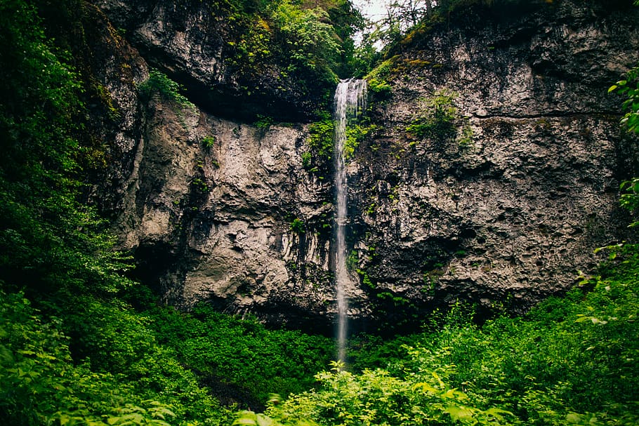 waterfalls, rock, cliff, tree, forest, woodland, tropical, river HD wallpaper