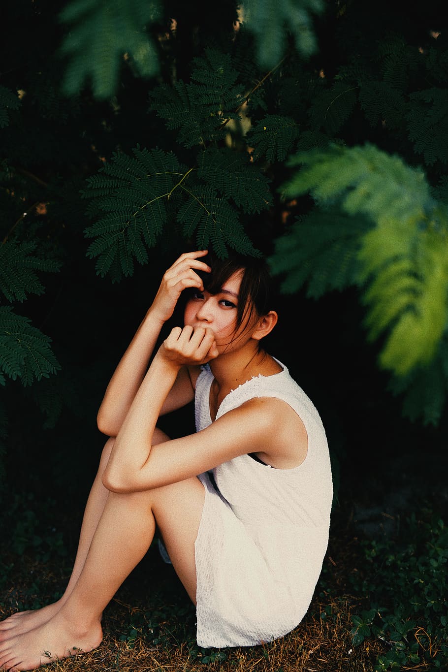 dark, trees, plant, nature, leaf, grass, people, girl, woman HD wallpaper