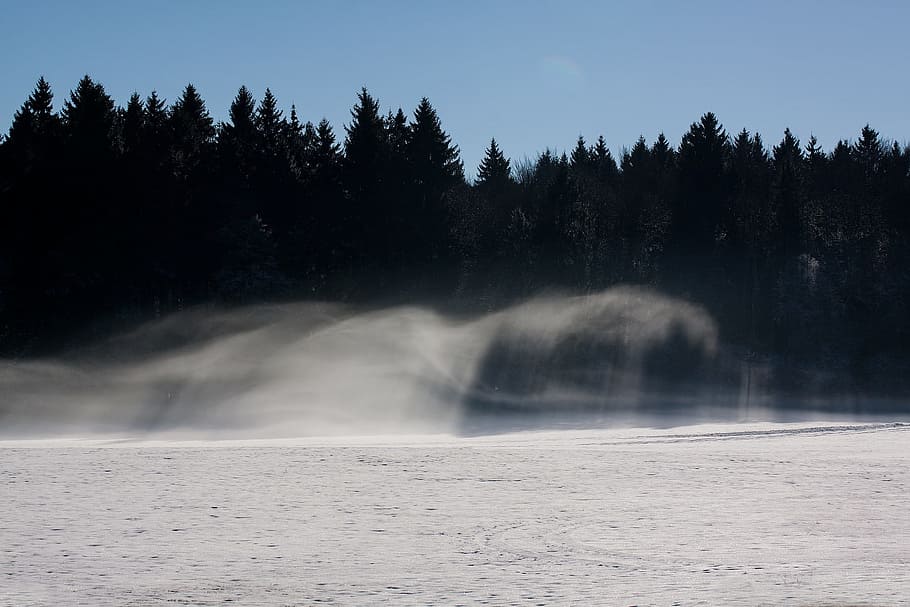 winter, forest, jungle, wild, nature, frozen, ice, snow, water HD wallpaper