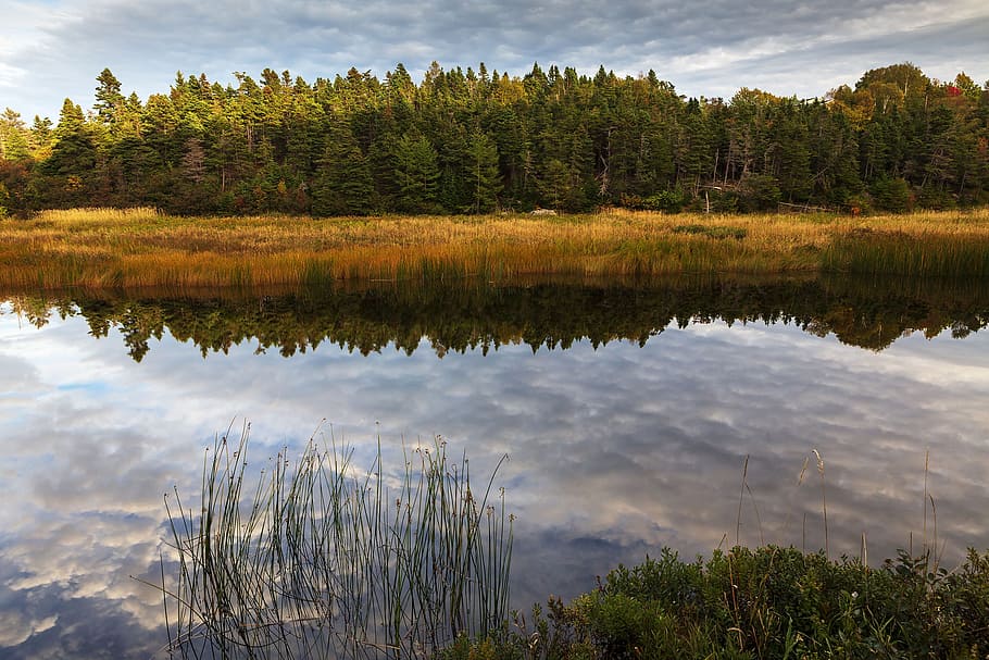 Autumn colors and reflections on the river trail., newfoundland and labrador, HD wallpaper