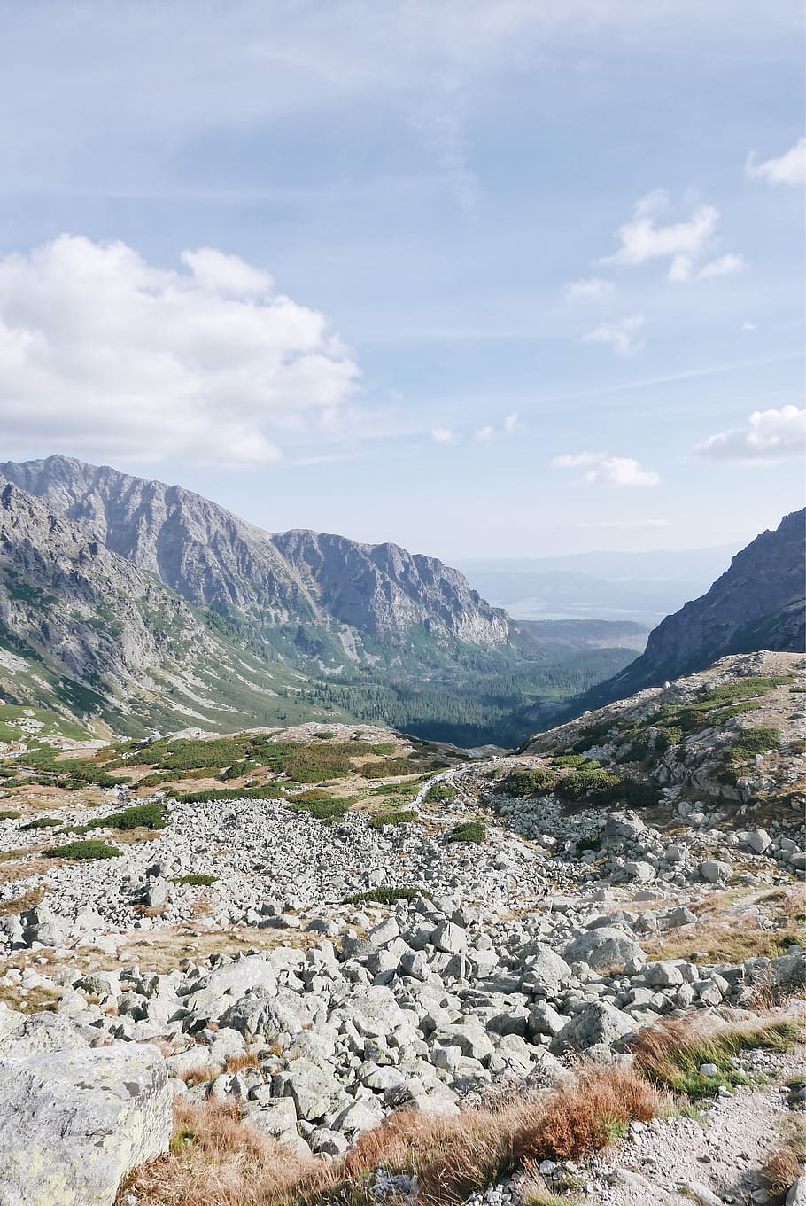 gray mountain with trees, vysoké tatry, slovakia, štrbské pleso HD wallpaper