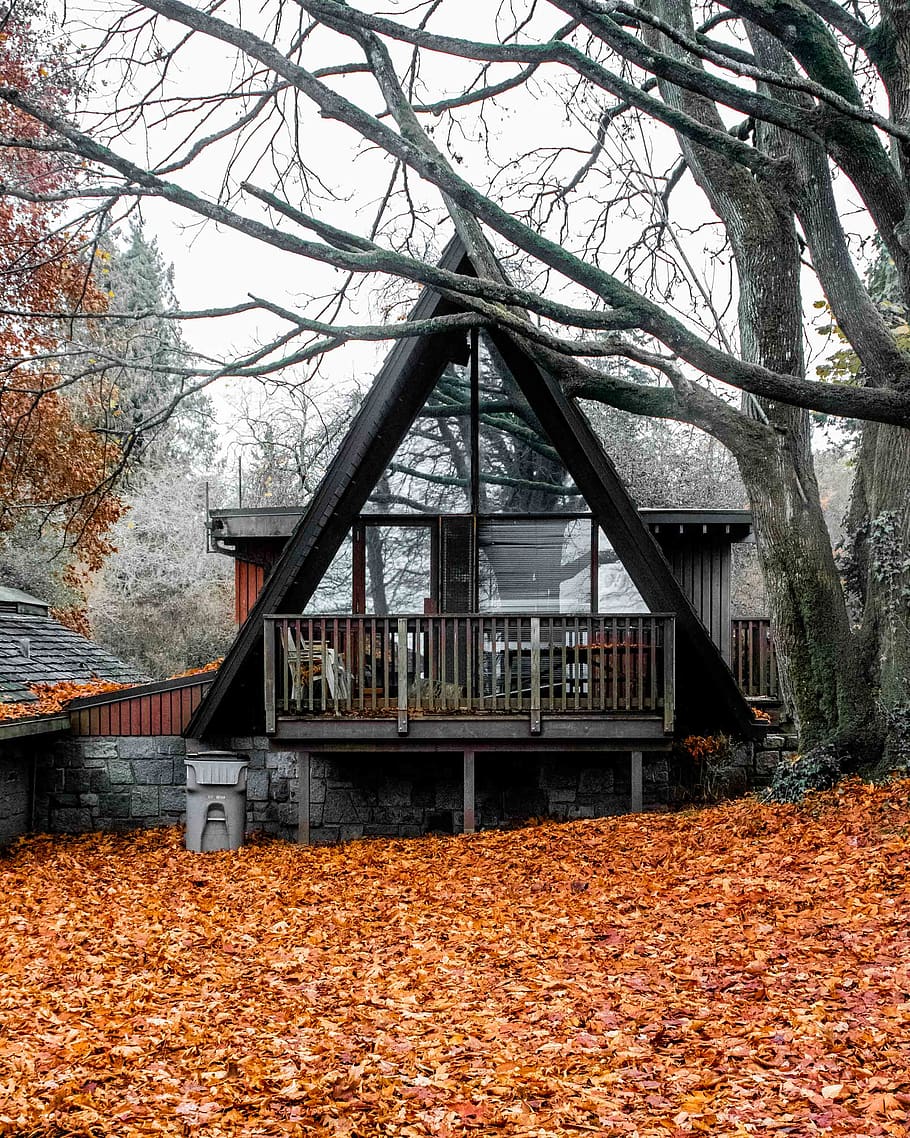 house between trees, building, housing, cottage, plant, cabin HD wallpaper