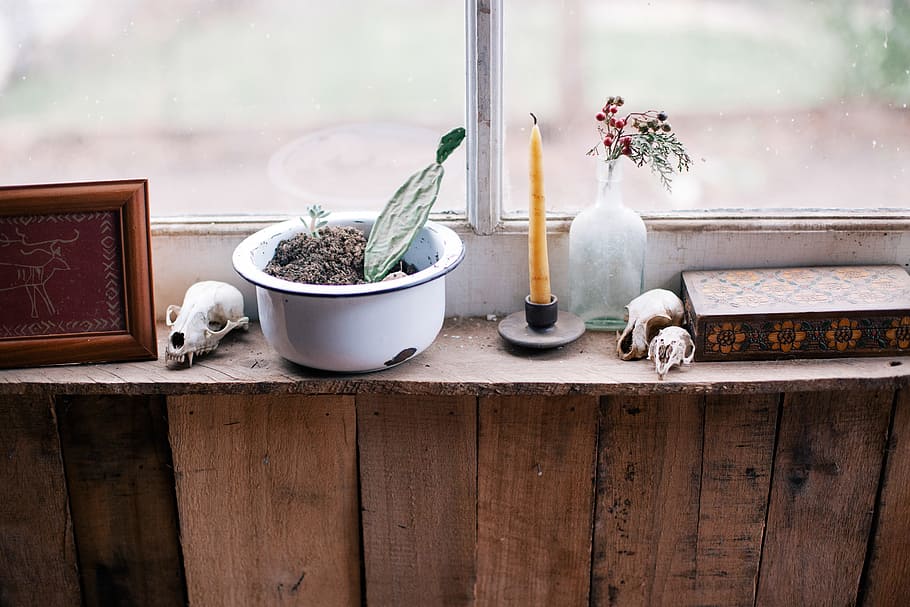 bottles, brown, candles, gray, green, pink, plants, windows HD wallpaper