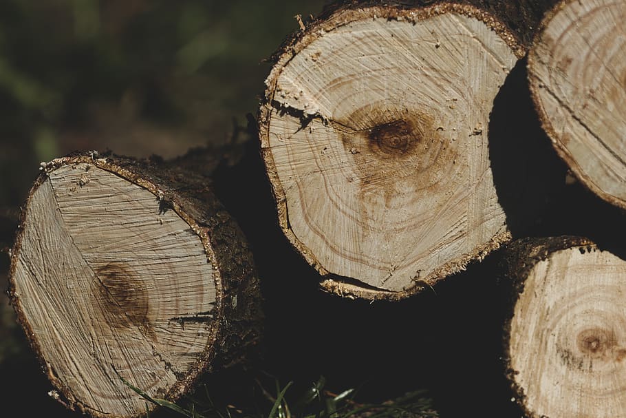 four brown logs, timber, tree, deforestation, lumber industry HD wallpaper