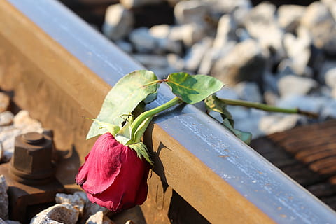 HD wallpaper: sad red rose on rail, lost love, loving memory, tragedy,  tragic | Wallpaper Flare