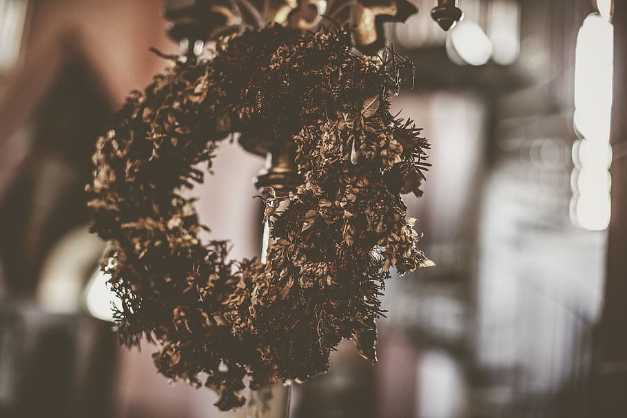 wreath, plant, leaf, minecraft, animal, invertebrate, insect HD wallpaper