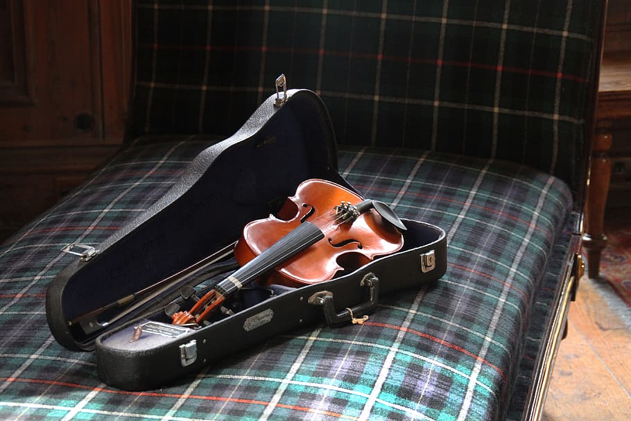Violin, various, music, indoors, one person, real people, string instrument HD wallpaper