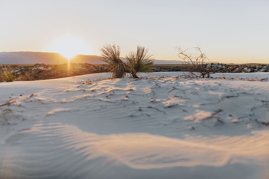 snow covered field during daytime, outdoors, nature, sand, land HD wallpaper