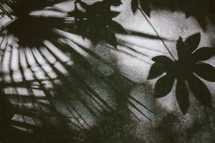 White, Black, and Gray Floral Textile, abstract, art, artistic HD wallpaper