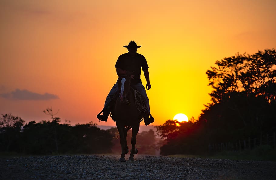 horse, cowboy, silhouette, summer, nature, sky, landscape, sunlight, HD wallpaper