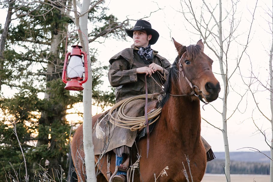 man riding horse, animal themes, vertebrate, real people, tree HD wallpaper