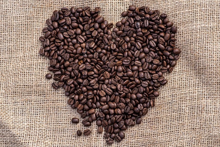 Coffee bean. Кофейные зерна на дубе. Рамка для фото с кофейными зернами. 3 Вида самых распространенных зерен кофе. United Coffee Beans.