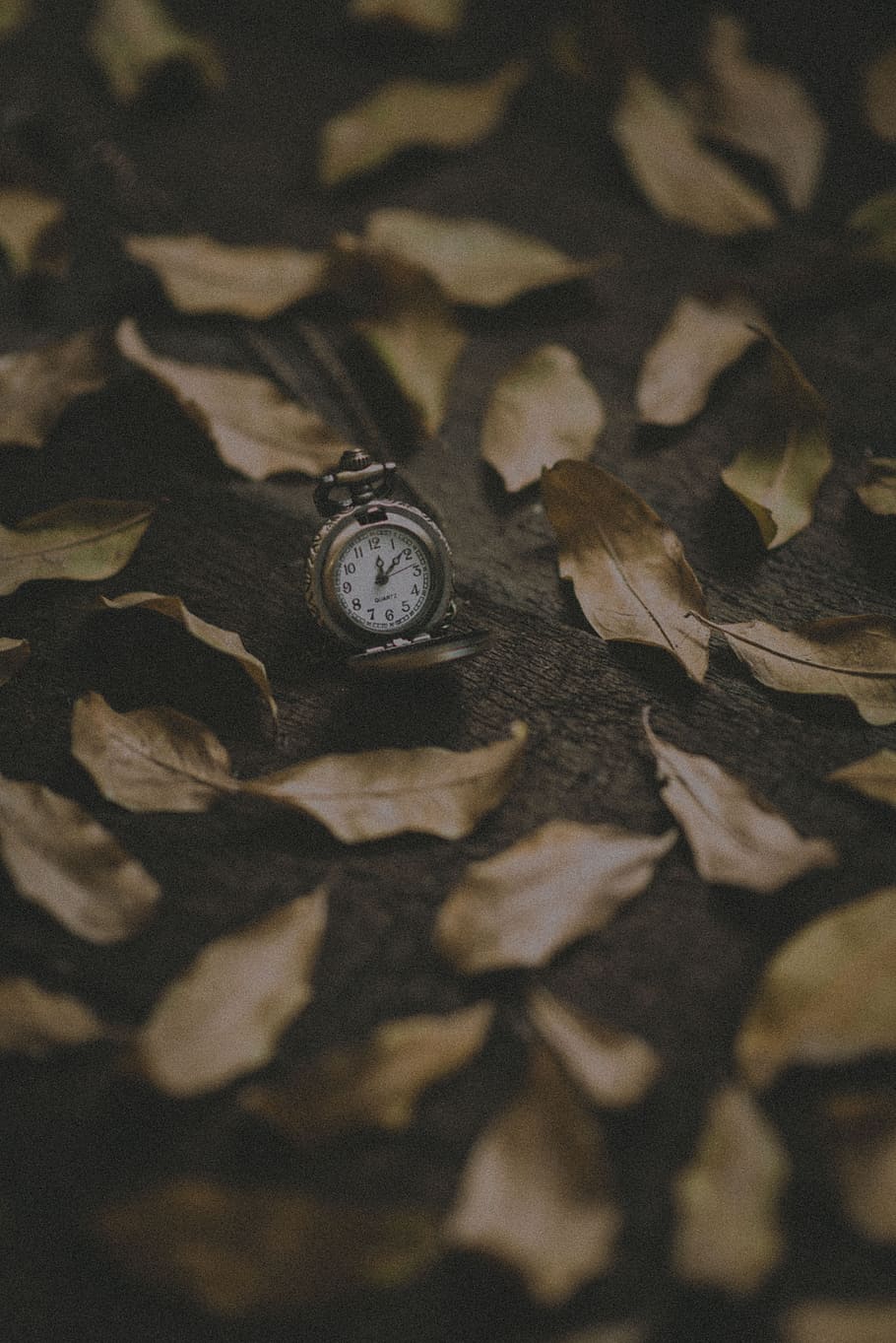 round silver-colored pocket watch at 12:09, leafe, autumn, time HD wallpaper