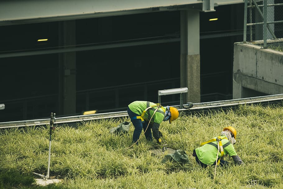 Two Workers Near Building, color, daylight, environment, equipment HD wallpaper