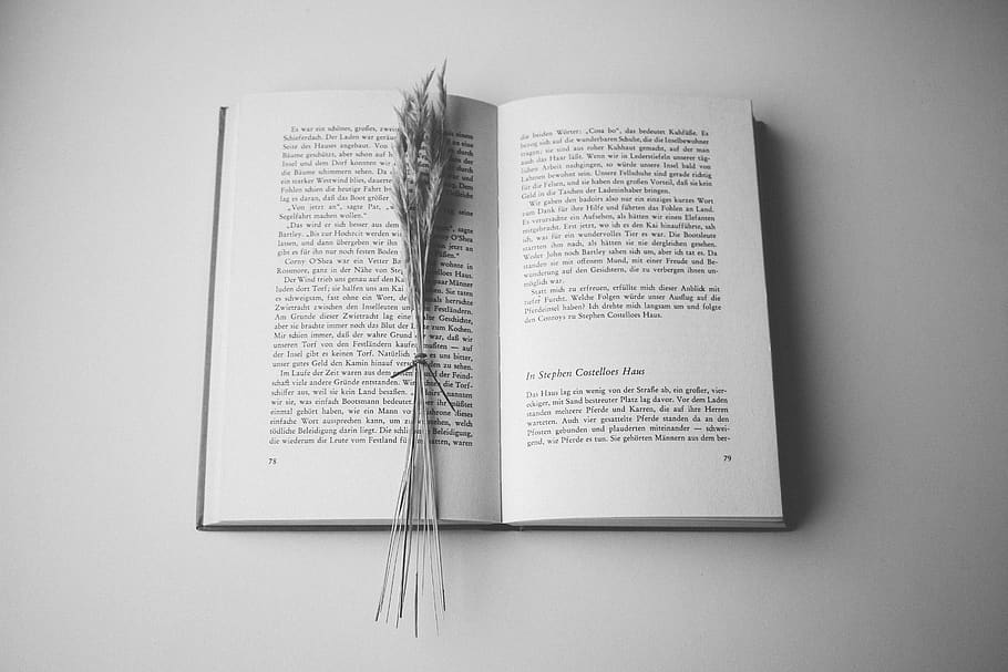 hd, wallpaper, german, wheat, grass, text, nature, publication HD wallpaper