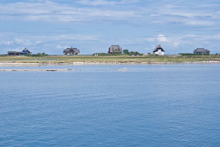 background, house, ocean, sky, bird, landsend, shore, waterfront HD wallpaper