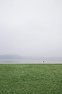 person standing near open field, grass, mist, fog, foggy, misty HD wallpaper