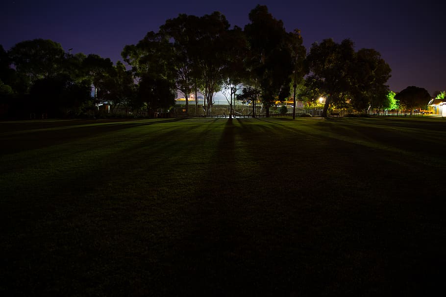 australia, perth, lightbulb, trees, floodligths, park, lines HD wallpaper