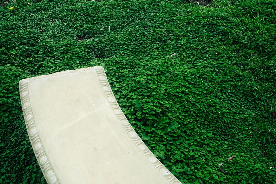 green, bench, loneliness, grass, green color, plant, nature HD wallpaper