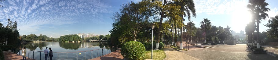 tree, plant, panoramic, sky, nature, water, day, footpath, transportation HD wallpaper