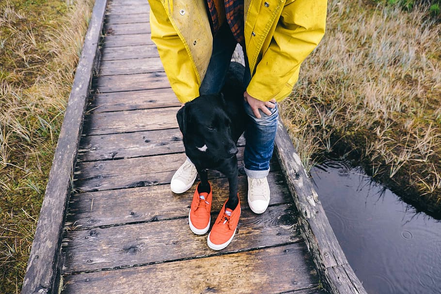 canada, tofino, dog, explorebc, real people, low section, shoe HD wallpaper