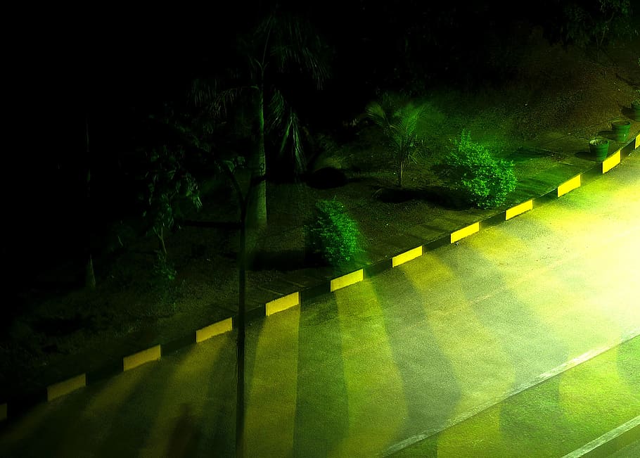 road, light, street, night, plant, green color, no people, nature HD wallpaper